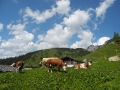 dscn8886