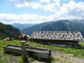 dscn8892