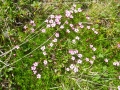 dscn8934