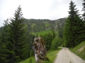 dscn8976