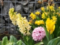 blumen_nr-01