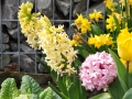 blumen_nr-02