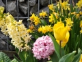 blumen_nr-03