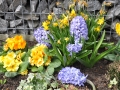 blumen_nr-04