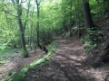 Frankenwald Bootcamp Außenstelle Wuppertal Nr.08
