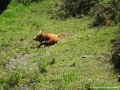 madeira-2013-nr-012