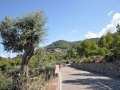 urlaub-mallorca-2013-nr-143