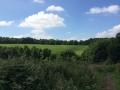 Wanderung Wald Wasser Wolle Weg Radevormwald 2014 Nr.05