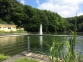 Wanderung Wald Wasser Wolle Weg Radevormwald 2014 Nr.11