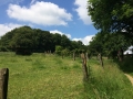 Wanderung Wald Wasser Wolle Weg Radevormwald 2014 Nr.22