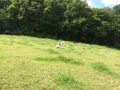 Wanderung Wald Wasser Wolle Weg Radevormwald 2014 Nr.27