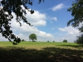 Wanderung Wald Wasser Wolle Weg Radevormwald 2014 Nr.36