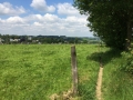 Wanderung Wald Wasser Wolle Weg Radevormwald 2014 Nr.38