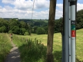 Wanderung Wald Wasser Wolle Weg Radevormwald 2014 Nr.41