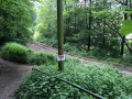 Wanderung Wald Wasser Wolle Weg Radevormwald 2014 Nr.48