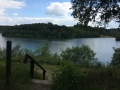 Wanderung Wald Wasser Wolle Weg Radevormwald 2014 Nr.83
